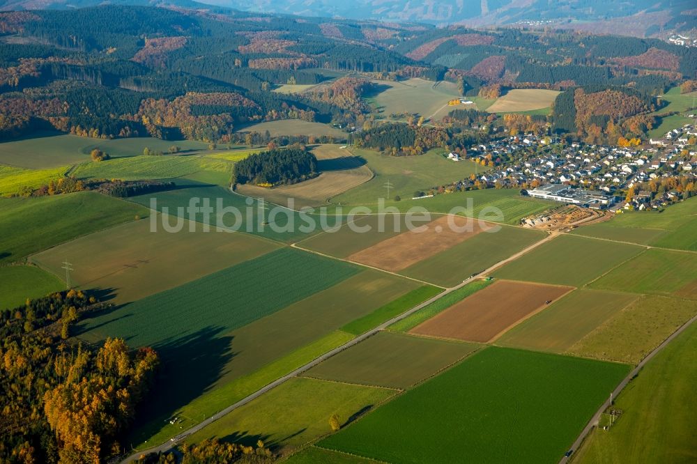 Finnentrop von oben - Landwirtschaftliche Fläche im Osten von Finnentrop im Bundesland Nordrhein-Westfalen