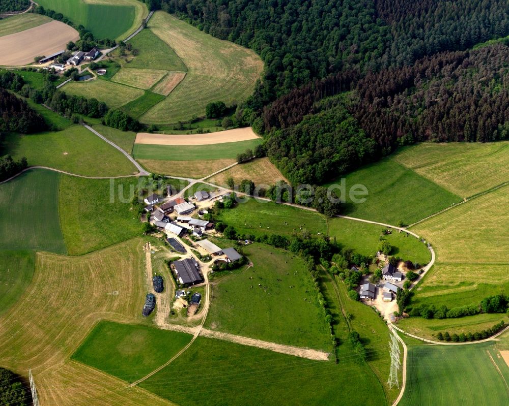 Luftaufnahme Hövels - Landwirtschaftliche Höfe an der Sieg in Hövels im Bundesland Rheinland-Pfalz