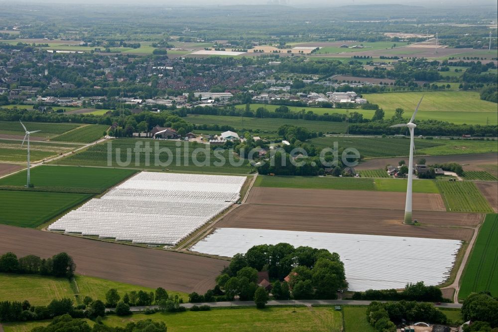 Bottrop von oben - Landwirtschaftliche Nutzflächen bei Bottrop im Bundesland Nordrhein-Westfalen