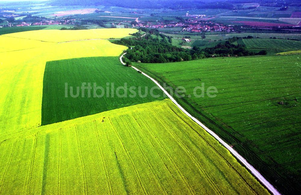 Luftbild Burg / Sachsen - Anhalt - Landwirtschaftliche Nutzflächen bei Burg.