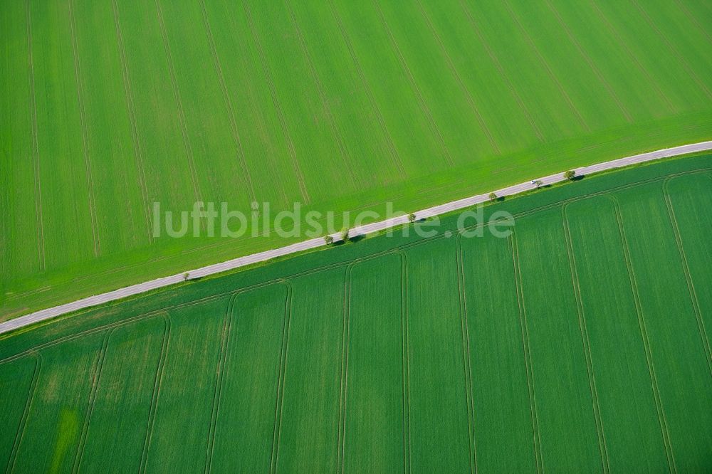 Amt Wachsenburg Haarhausen aus der Vogelperspektive: Landwirtschaftliche Nutzflächen bei Haarhausen in Amt Wachsenburg im Bundesland Thüringen