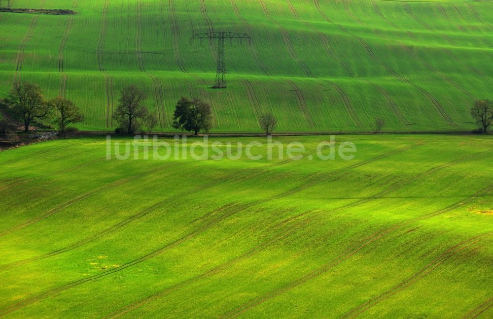 Luftaufnahme Schönbeck - Landwirtschaftliche Nutzflächen bei Schönbeck im Bundesland Mecklenburg-Vorpommern