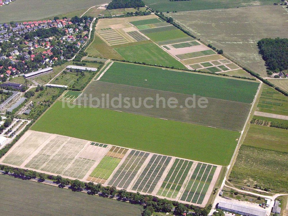 Luftbild Stahnsdorf / BRB - Landwirtschaftliche Versuchsflächen bei Stahnsdorf.