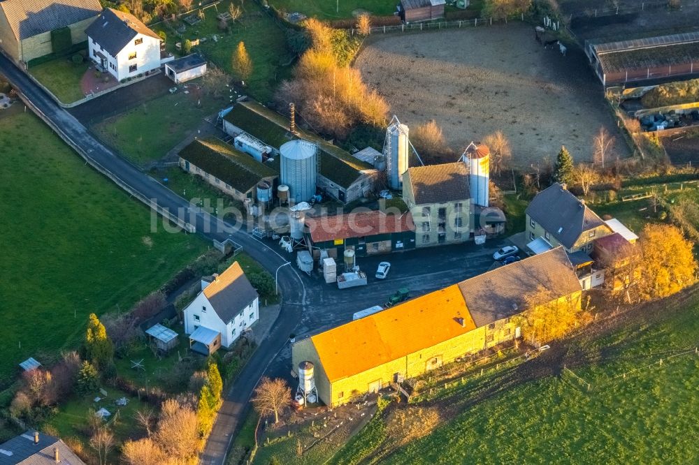 Luftbild Werl - Landwirtschaftlicher Betrieb an der Mühlenstraße und Reitanlage in Werl im Bundesland Nordrhein-Westfalen, Deutschland