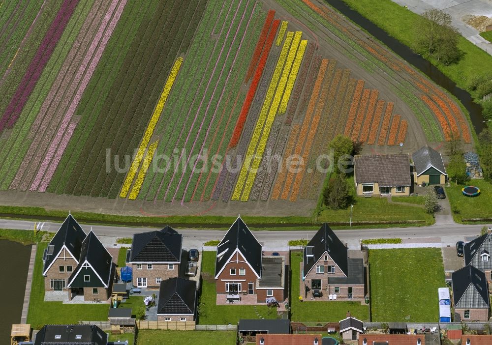 Berkhout von oben - Landwirtschafts - Landschaft mit ...