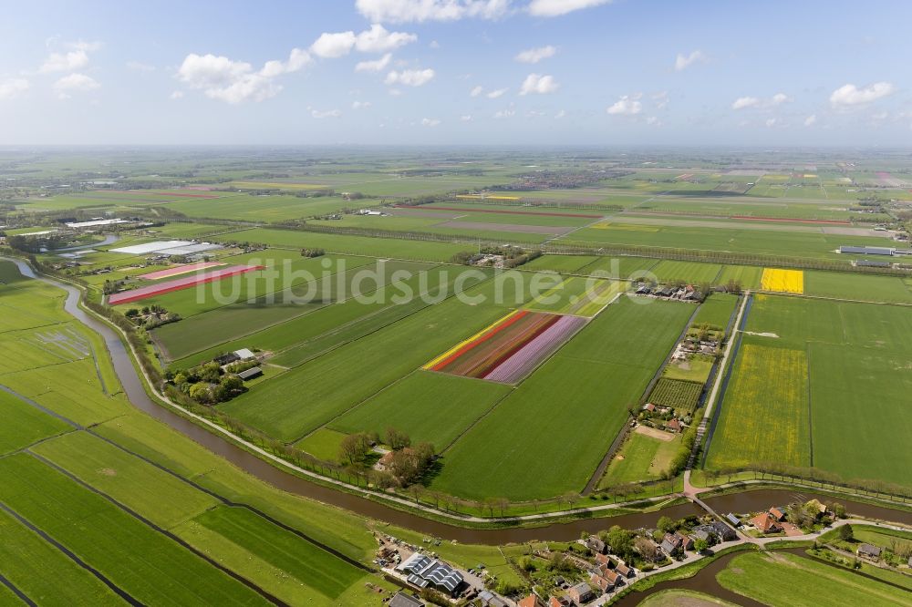 Hobrede von oben - Landwirtschafts - Landschaft mit Tulpenfeldern zur Blumenproduktion bei Hobrede in Nordholland in Holland / Niederlande