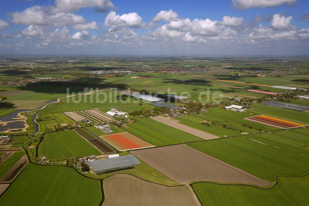 Luftbild Ursem - Landwirtschafts - Landschaft mit Tulpenfeldern zur Blumenproduktion bei Ursem in Nordholland in Holland / Niederlande