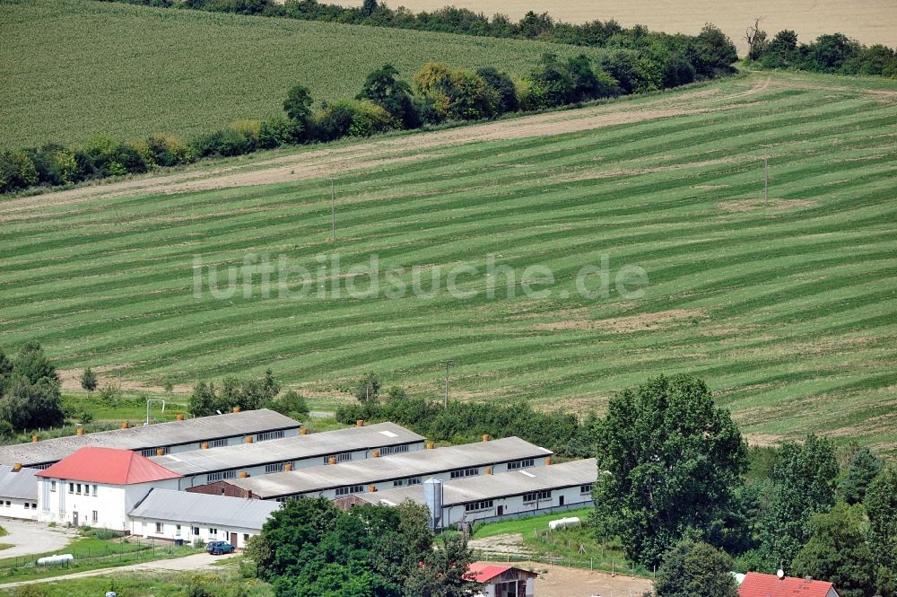 Luftbild Ankershagen - Landwirtschaftsbetrieb in Ankershagen / Bornhof in Mecklenburg-Vorpommern