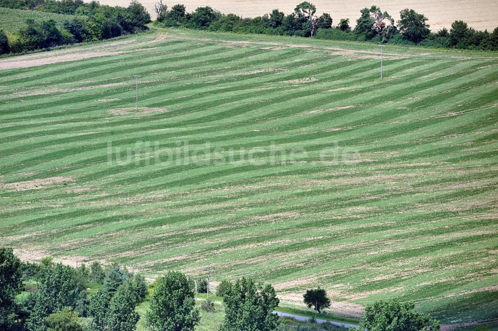 Luftaufnahme Ankershagen - Landwirtschaftsbetrieb in Ankershagen / Bornhof in Mecklenburg-Vorpommern