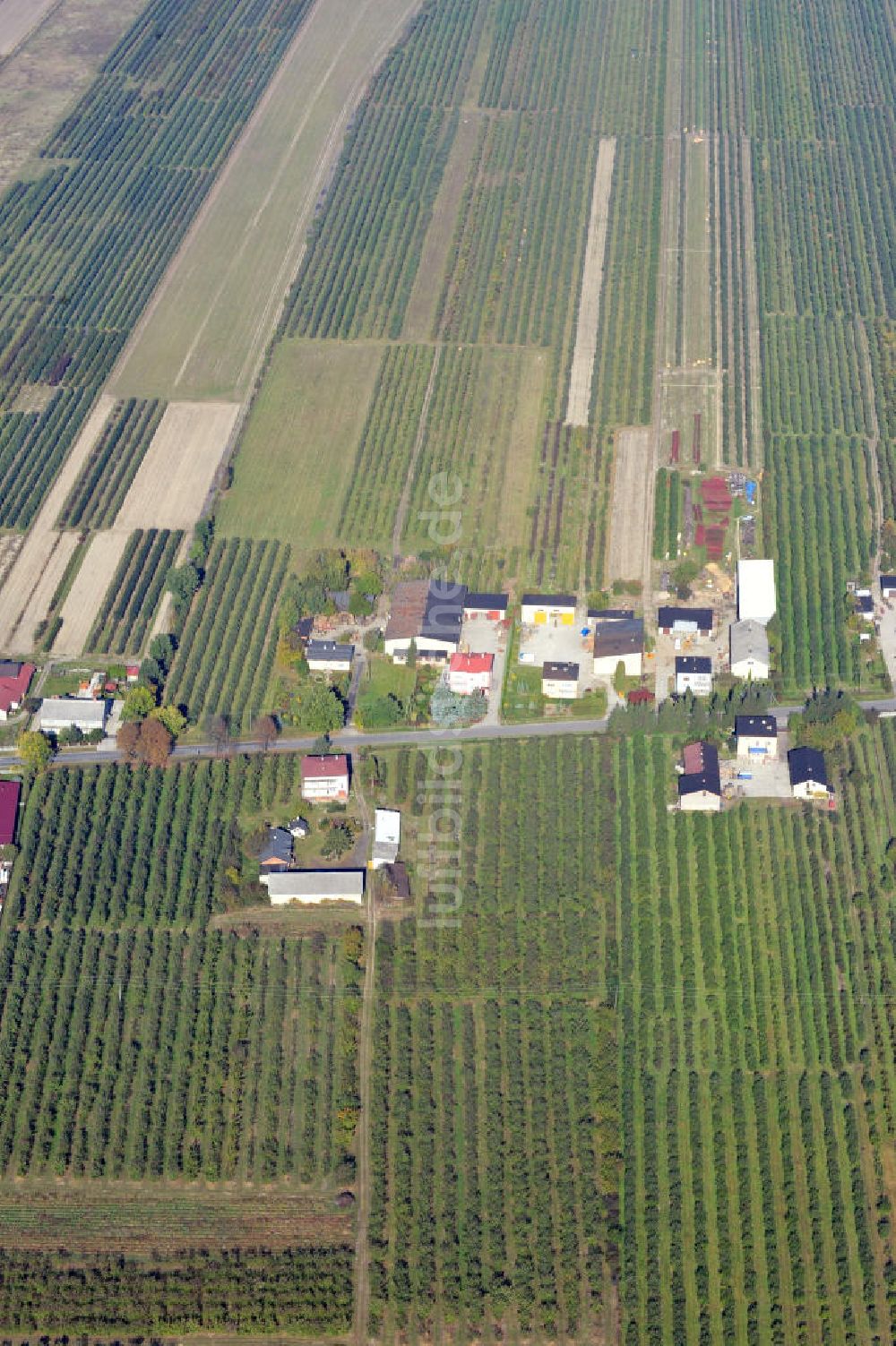 Polkowice / Polkwitz von oben - Landwirtschaftsbetriebe bei Polkowice, Polen