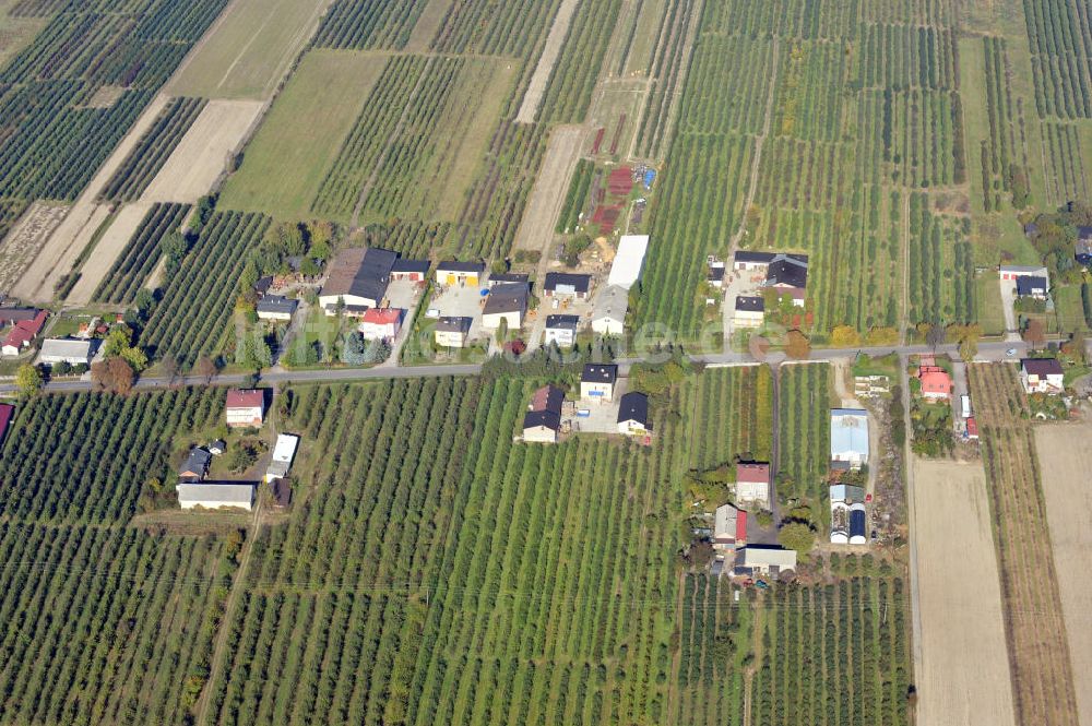 Polkowice / Polkwitz aus der Vogelperspektive: Landwirtschaftsbetriebe bei Polkowice, Polen