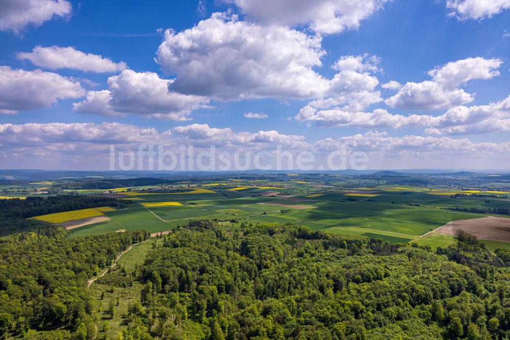 Luftbild Brakel - Laubbaum- Baumspitzen in einem Waldgebiet in Brakel im Bundesland Nordrhein-Westfalen, Deutschland