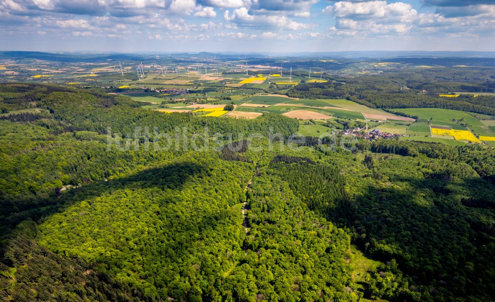 Luftaufnahme Nieheim - Laubbaum- Baumspitzen in einem Waldgebiet Innenburger Forst in Nieheim im Bundesland Nordrhein-Westfalen, Deutschland