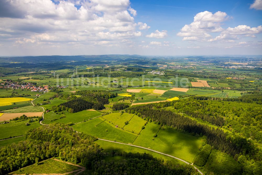 Nieheim von oben - Laubbaum- Baumspitzen in einem Waldgebiet Innenburger Forst in Nieheim im Bundesland Nordrhein-Westfalen, Deutschland