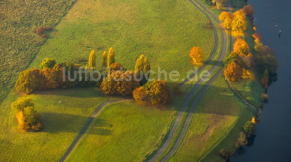 Hattingen von oben - Laubbäume im Herbst im Naturschutzgebiet Alte Ruhr-Katzenstein in Hattingen im Bundesland Nordrhein-Westfalen