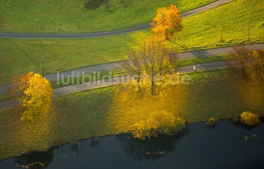 Hattingen aus der Vogelperspektive: Laubbäume im Herbst im Naturschutzgebiet Alte Ruhr-Katzenstein in Hattingen im Bundesland Nordrhein-Westfalen