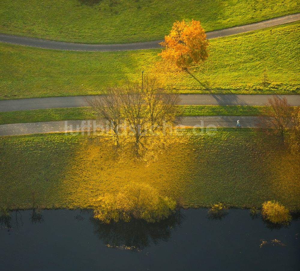 Luftbild Hattingen - Laubbäume im Herbst im Naturschutzgebiet Alte Ruhr-Katzenstein in Hattingen im Bundesland Nordrhein-Westfalen