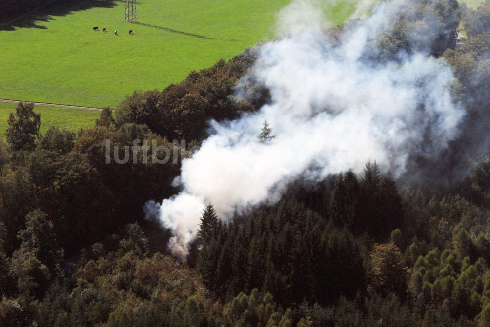 Luftbild Schwanheim - Laubverbrennung in Waldstück bei Schwanheim