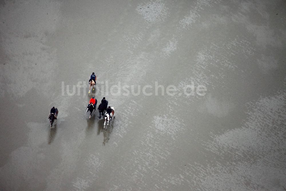 Neuwerk von oben - Laufen, Spaziergang , Reiten und Fahren mit Wattenwagen am Strand des Wattenmeer der Nordsee - Küstenlandschaft entlang der Insel Neuwerk 