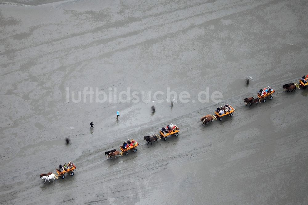 Neuwerk aus der Vogelperspektive: Laufen, Spaziergang , Reiten und Fahren mit Wattenwagen am Strand des Wattenmeer der Nordsee - Küstenlandschaft entlang der Insel Neuwerk 