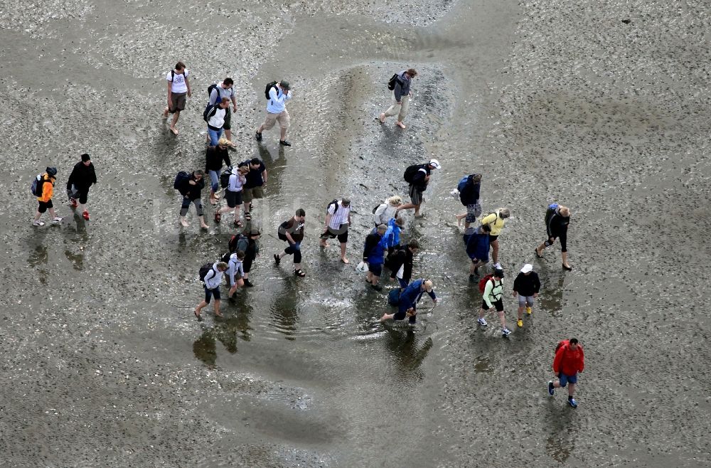 Luftaufnahme Neuwerk - Laufen, Spaziergang , Reiten und Fahren mit Wattenwagen am Strand des Wattenmeer der Nordsee - Küstenlandschaft entlang der Insel Neuwerk 