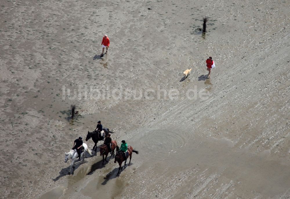 Neuwerk aus der Vogelperspektive: Laufen, Spaziergang , Reiten und Fahren mit Wattenwagen am Strand des Wattenmeer der Nordsee - Küstenlandschaft entlang der Insel Neuwerk 