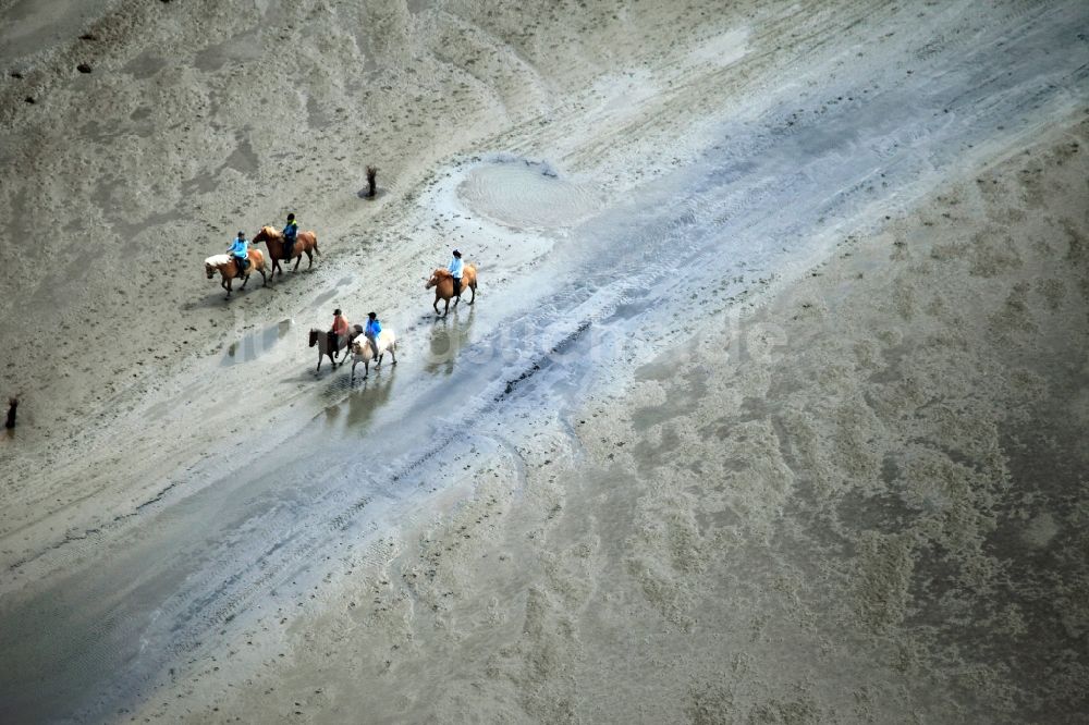 Luftbild Neuwerk - Laufen, Spaziergang , Reiten und Fahren mit Wattenwagen am Strand des Wattenmeer der Nordsee - Küstenlandschaft entlang der Insel Neuwerk 