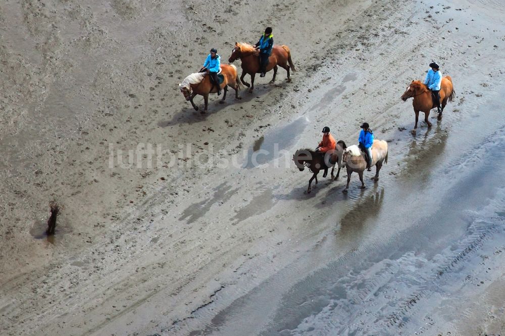 Luftaufnahme Neuwerk - Laufen, Spaziergang , Reiten und Fahren mit Wattenwagen am Strand des Wattenmeer der Nordsee - Küstenlandschaft entlang der Insel Neuwerk 