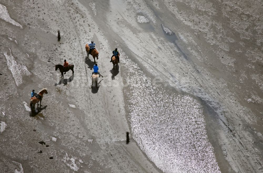 Luftbild Neuwerk - Laufen, Spaziergang , Reiten und Fahren mit Wattenwagen am Strand des Wattenmeer der Nordsee - Küstenlandschaft entlang der Insel Neuwerk 