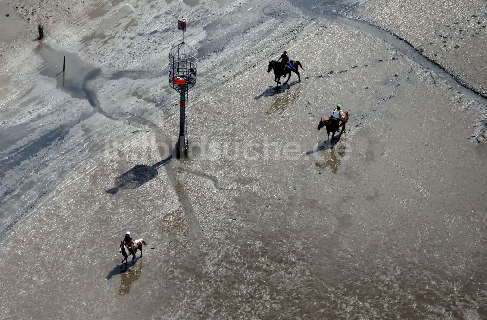 Luftaufnahme Neuwerk - Laufen, Spaziergang , Reiten und Fahren mit Wattenwagen am Strand des Wattenmeer der Nordsee - Küstenlandschaft entlang der Insel Neuwerk 