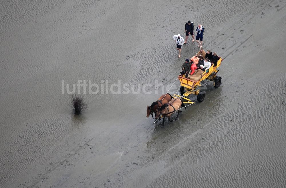 Neuwerk von oben - Laufen, Spaziergang , Reiten und Fahren mit Wattenwagen am Strand des Wattenmeer der Nordsee - Küstenlandschaft entlang der Insel Neuwerk 