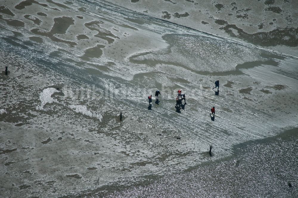 Neuwerk aus der Vogelperspektive: Laufen, Spaziergang , Reiten und Fahren mit Wattenwagen am Strand des Wattenmeer der Nordsee - Küstenlandschaft entlang der Insel Neuwerk 