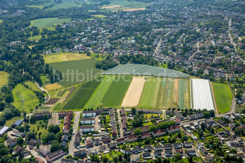 Luftaufnahme Essen - Leerstehende Gebäude des Gartencenters Drei Städte Eck in Essen im Bundesland Nordrhein-Westfalen