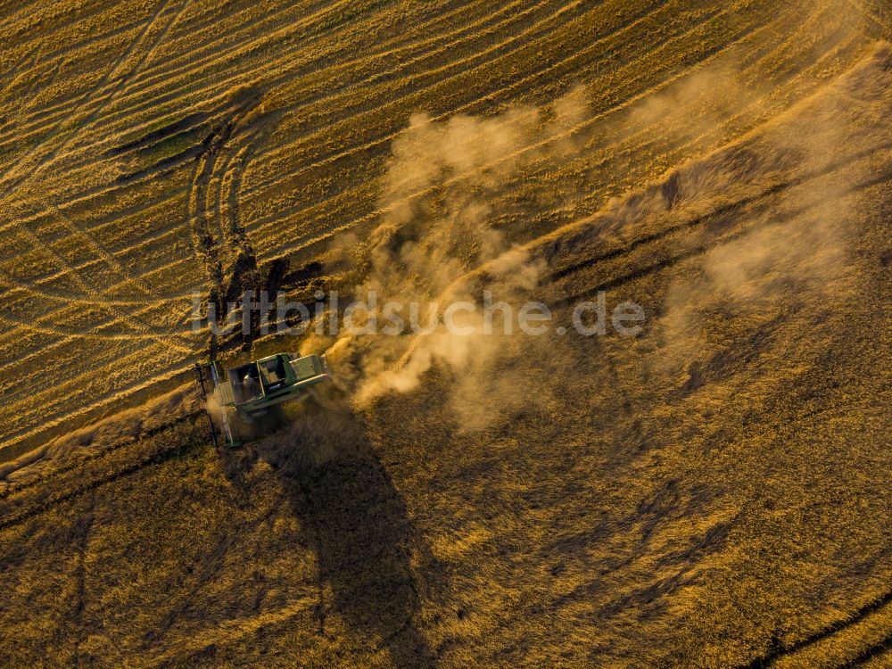 Luftaufnahme Hohnstein - Linienförmige Schwade -Strukturen auf einem Getreidefeld in Hohnstein im Bundesland Sachsen, Deutschland