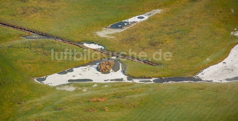 Hamm von oben - Lippe- Auen Grasflächen- Strukturen einer Feld- Landschaft in Hamm im Bundesland Nordrhein-Westfalen