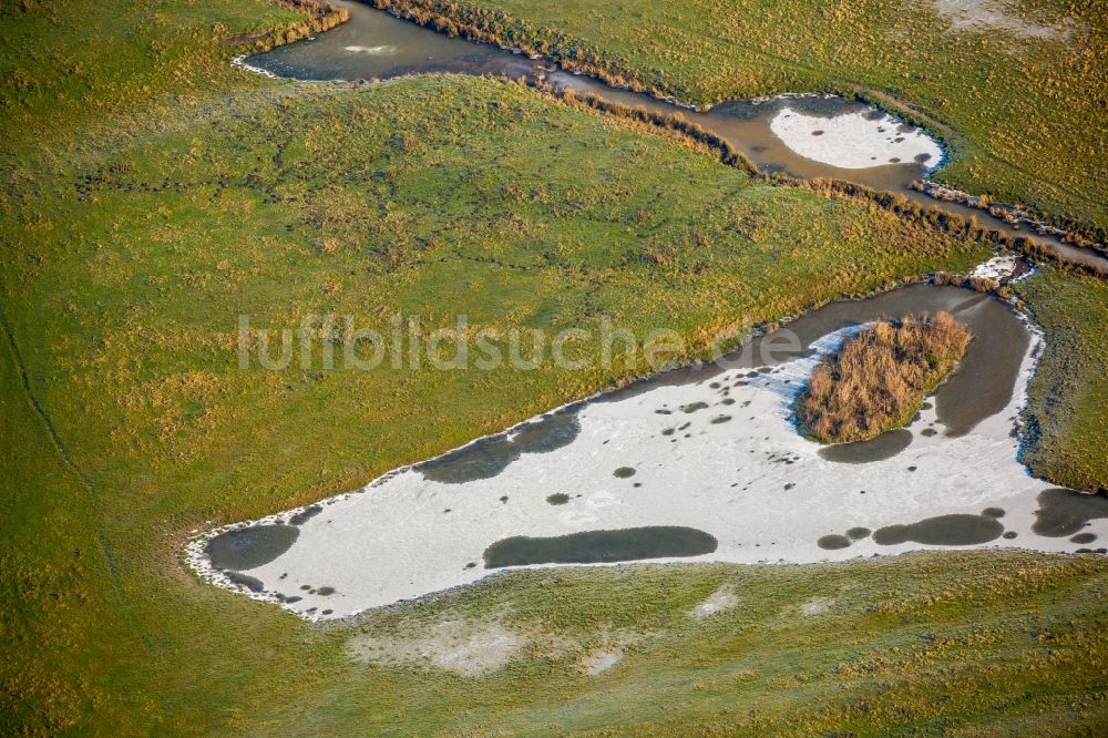 Hamm aus der Vogelperspektive: Lippe- Auen Grasflächen- Strukturen einer Feld- Landschaft in Hamm im Bundesland Nordrhein-Westfalen