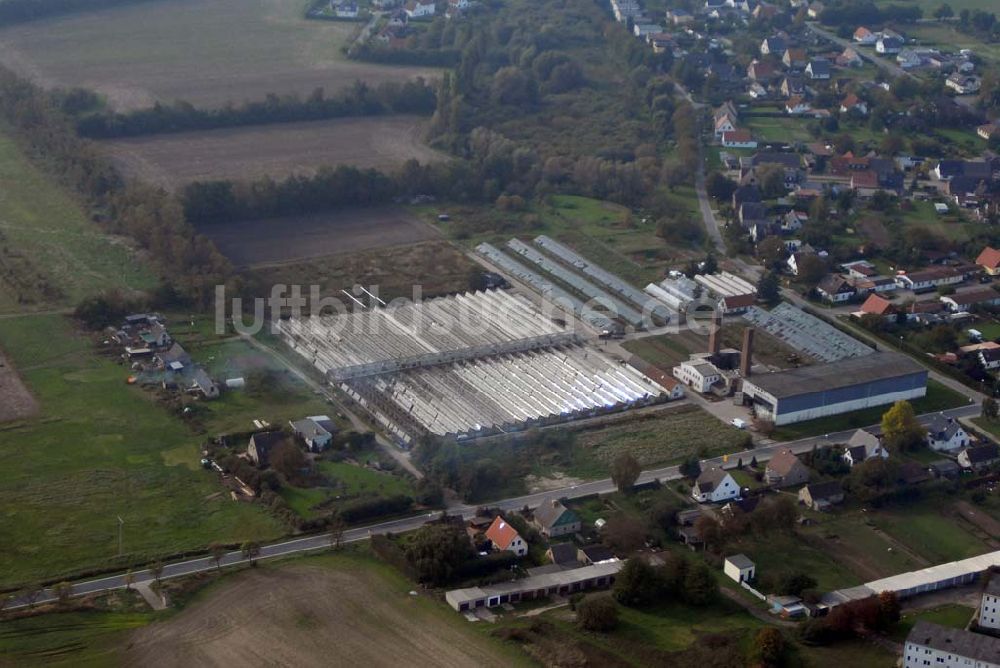 Trinwillershagen aus der Vogelperspektive: LPG in Trinwillershagen