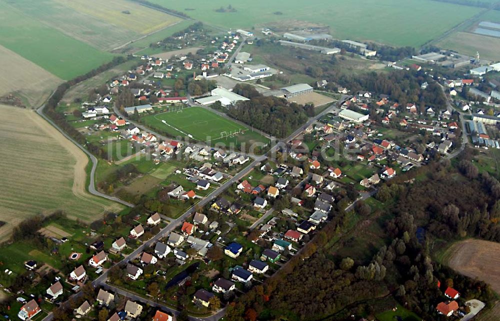 Luftaufnahme Trinwillershagen - LPG in Trinwillershagen