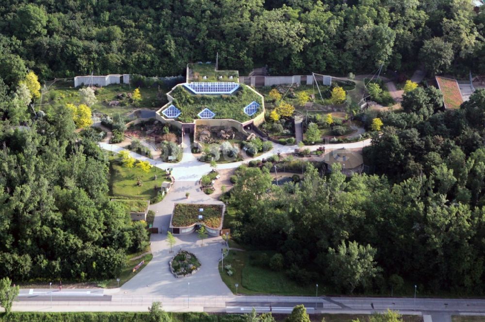 Erfurt aus der Vogelperspektive: Löwensavanne im Thüringer ZOOpark Erfurt im Bundesland Thüringen