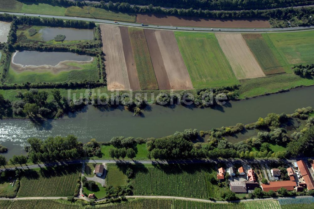 Marktbreit von oben - Main Uferbereich Südufer zwischen Marktbreit und Großmannsdorf