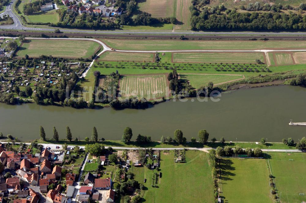 Ochsenfurt von oben - Main Uferbereich Südufer zwischen Marktbreit und Großmannsdorf