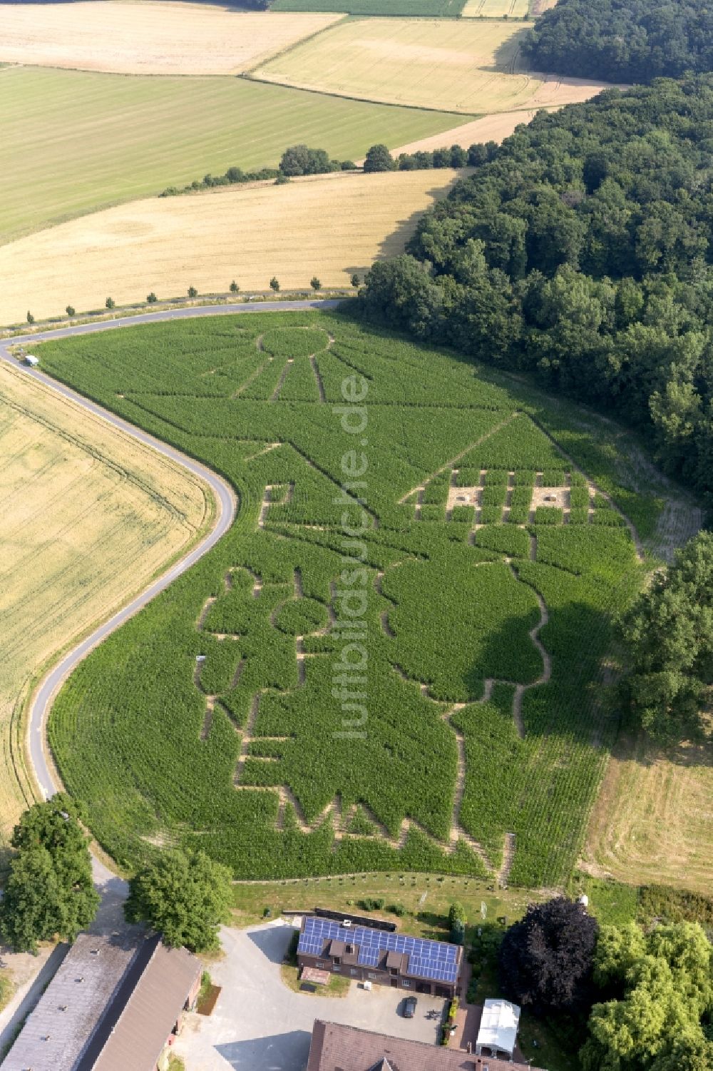 Lünen von oben - Mais- Labyrinth auf einem Bauernhof in der Nähe von Lünen in Nordrhein- Westfalen