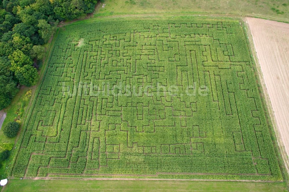 Witzenhausen aus der Vogelperspektive: Maisfeld mit labyrinthartigen Irrgarten- Strukturen in Witzenhausen im Bundesland Hessen