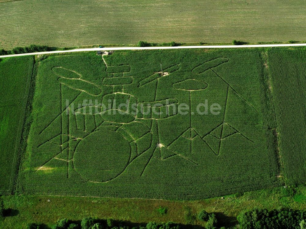 Luftbild Gunzenhausen - Maisfeldlandschaft mit Schlagzeugmotiv bei Gunzenhausen im Bundesland Bayern