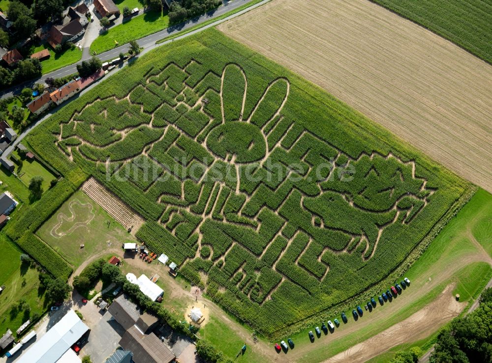 Hahnbach von oben - Maislabyrinth mit Hasen- und Igelmotiv bei Hahnbach im Bundesland Bayern