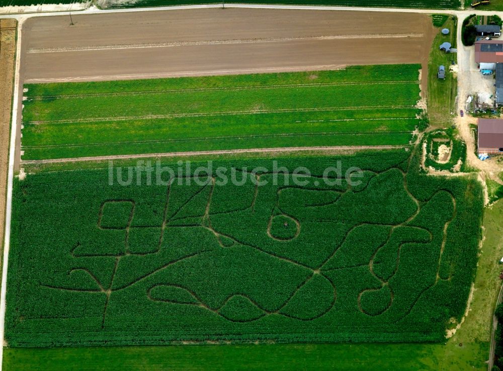 Luftaufnahme Boslar - Maislabyrinth mit Motiv in Boslar bei Linnich im Bundesland Nordrhein-Westfalen