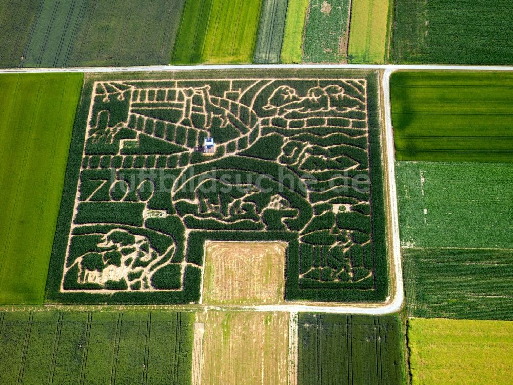 Luftbild Wolfenhausen - Maislabyrinth mit Zoomotiv bei Wolfenhausen im Bundesland Baden-Württemberg