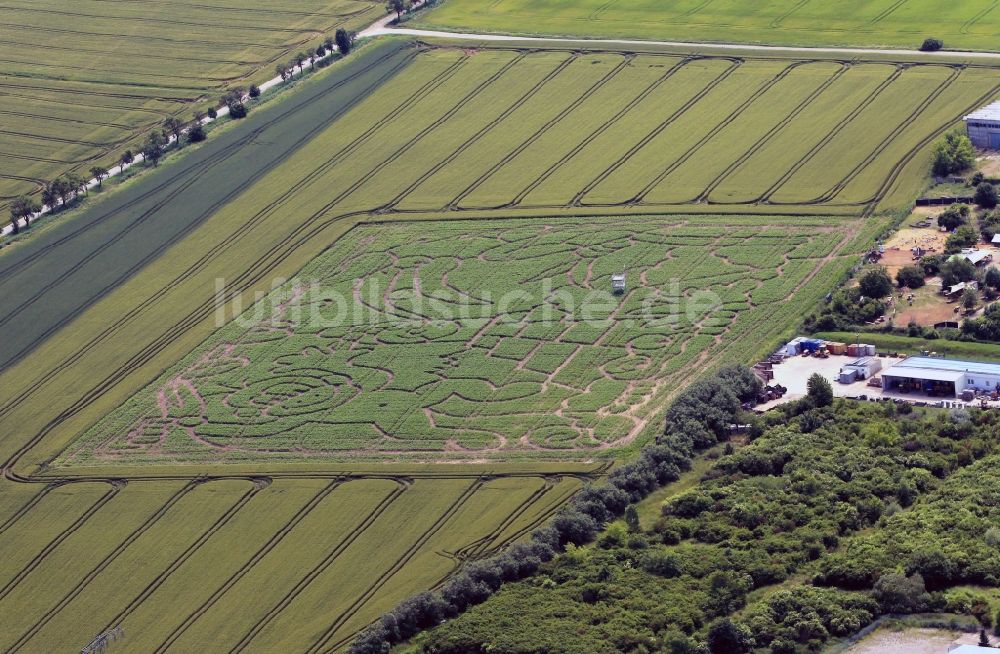 Luftaufnahme Erfurt - Maisspace das Maislabyrinth bei Erfurt im Bundesland Thüringen