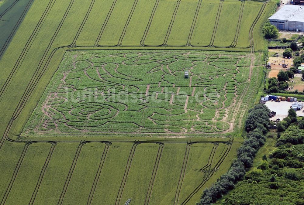 Erfurt von oben - Maisspace das Maislabyrinth bei Erfurt im Bundesland Thüringen