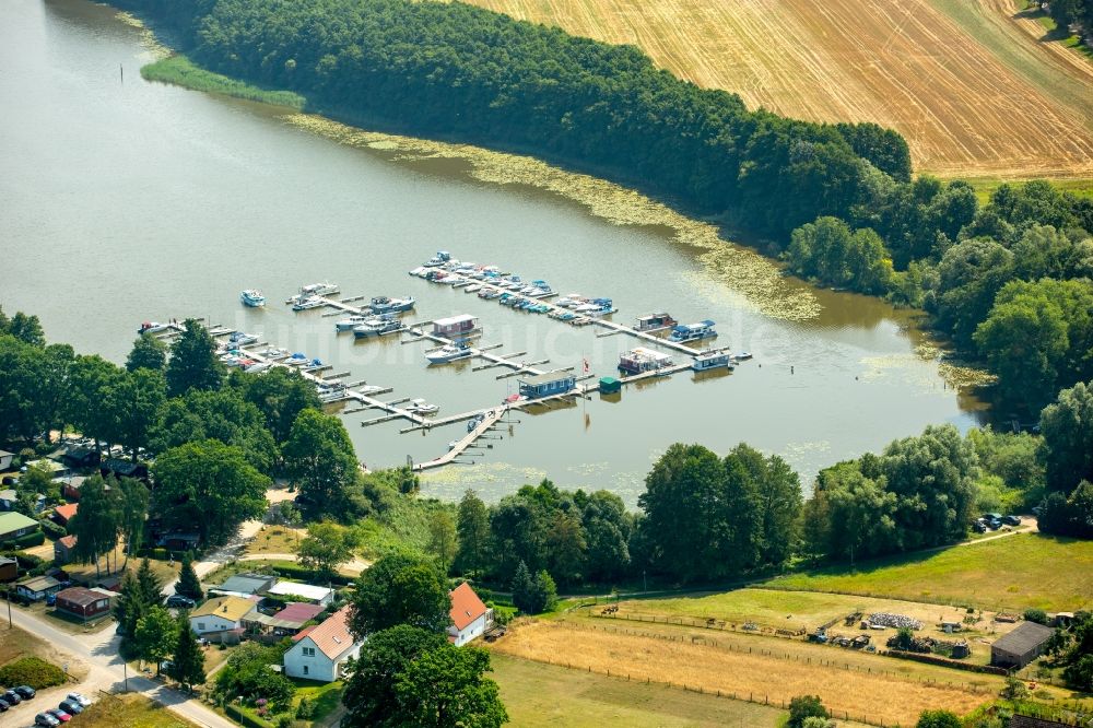 Buchholz von oben - Marina - Hafenbereich am Ufer des Müritzsee in Buchholz im Bundesland Mecklenburg-Vorpommern